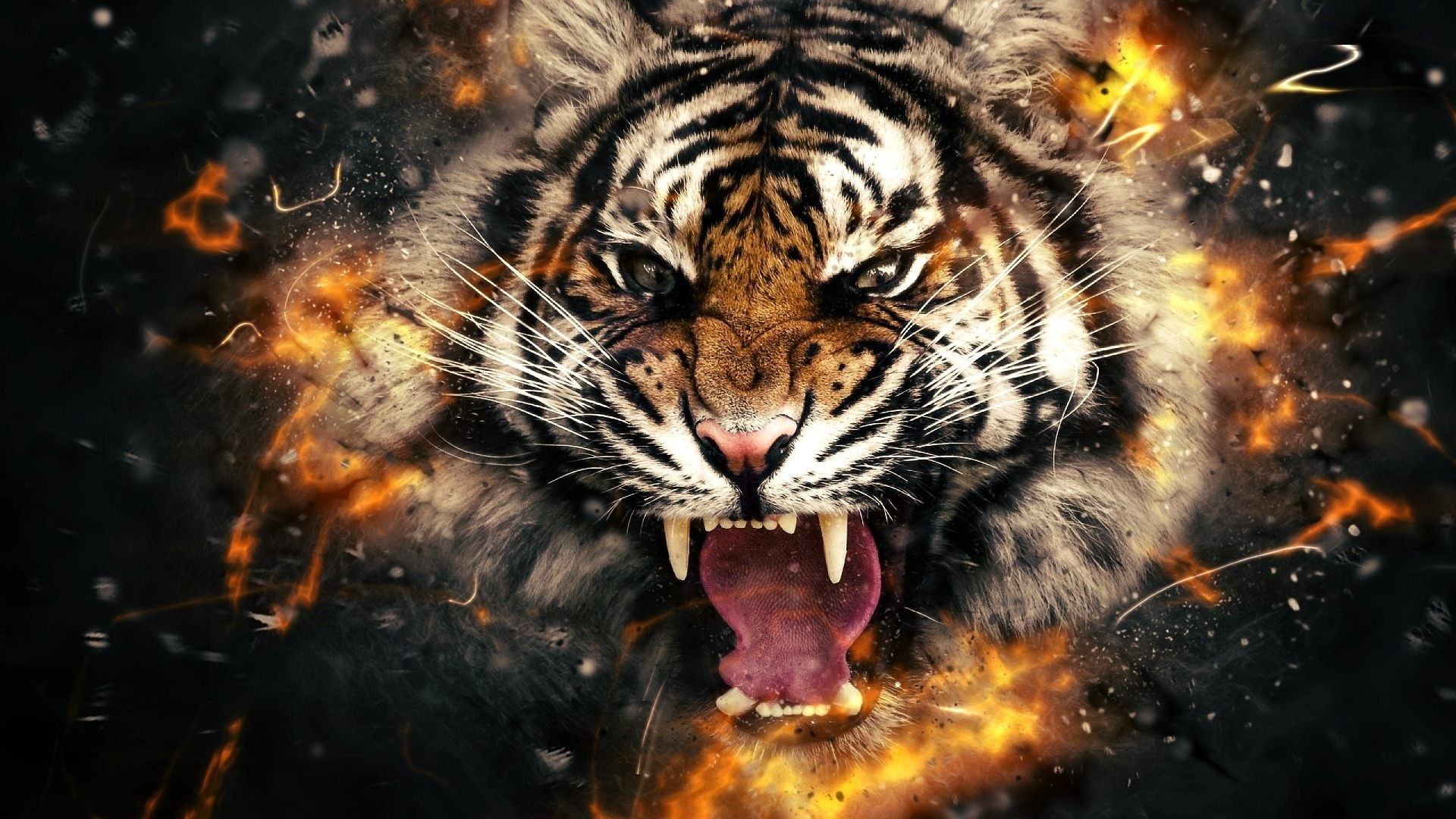 Hình ảnh con hổ 3D 2