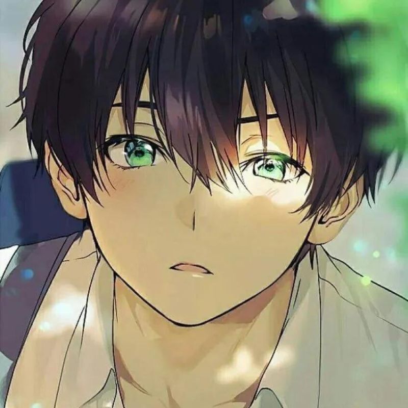 anh trai anime 22 ảnh trai anime 22