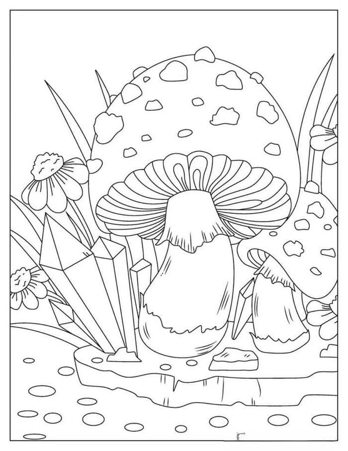 Ảnh tranh tô màu cây nấm đẹp cho bé