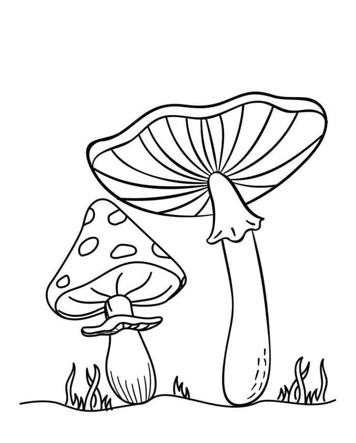 Ảnh tranh tô màu cây nấm đơn giản cho bé