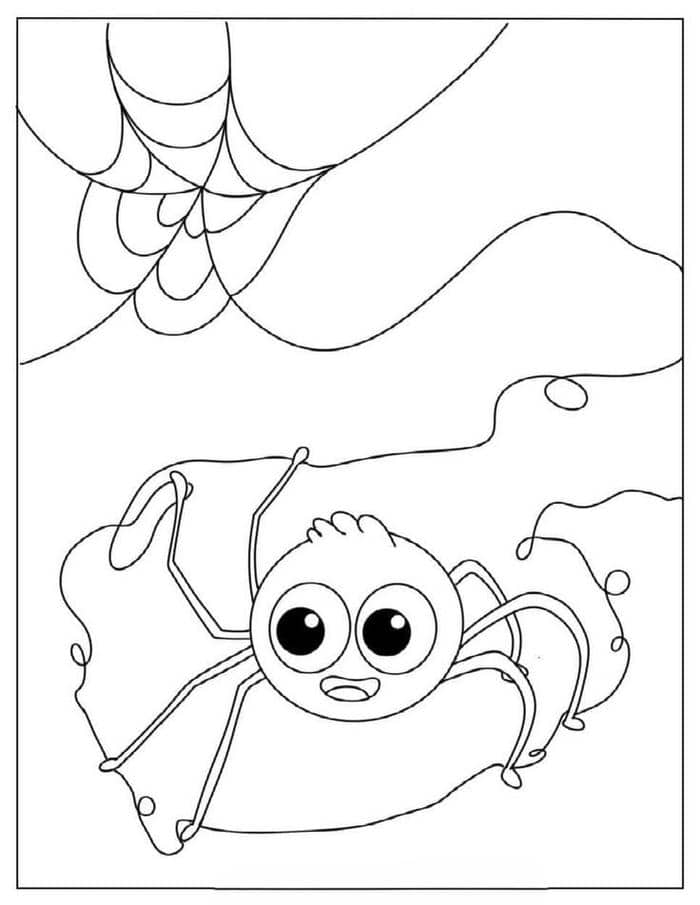 Ảnh tranh tô màu con nhện cute