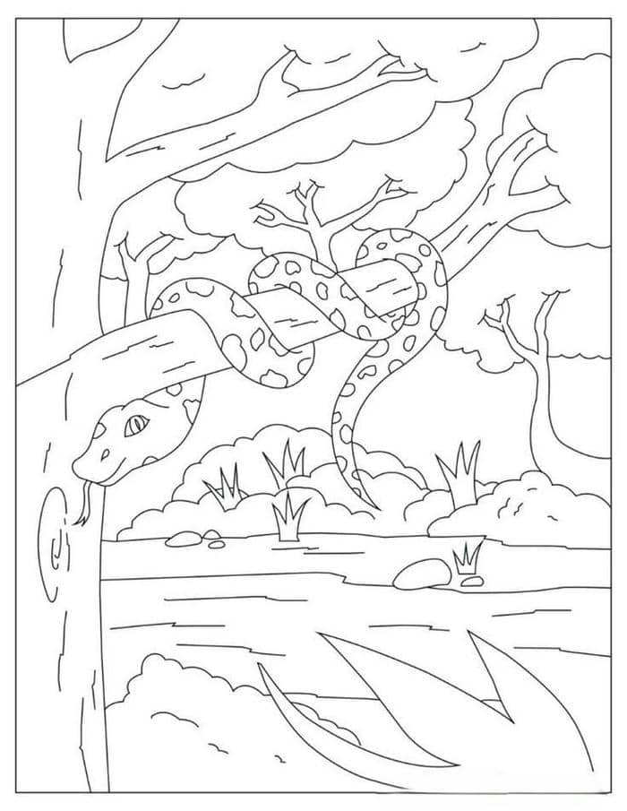 Ảnh tranh tô màu con rắn