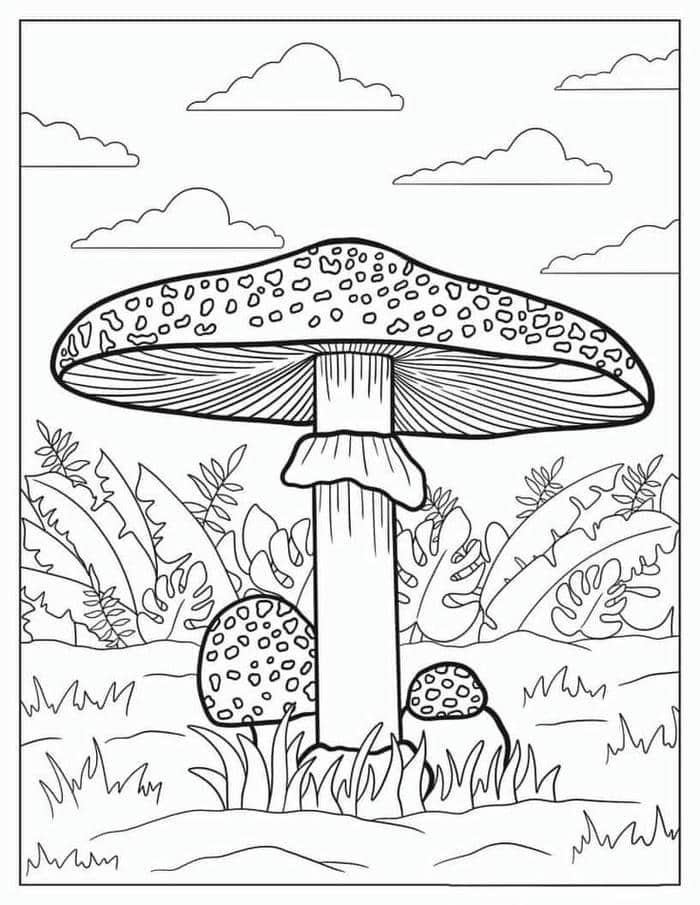 Ảnh tranh tô màu hình cây nấm