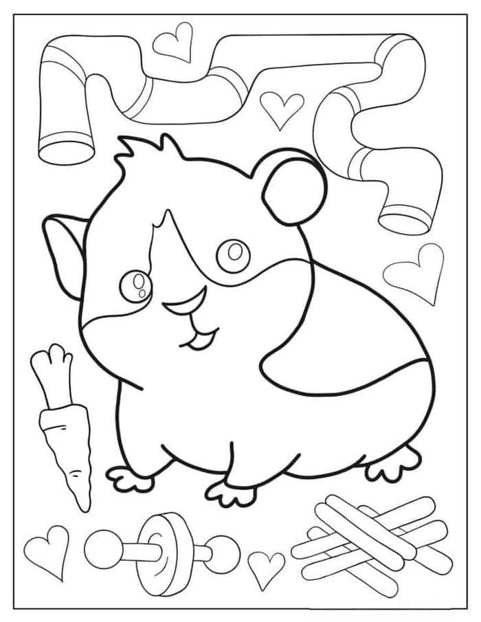 anh tranh to mau hinh chuot hamster