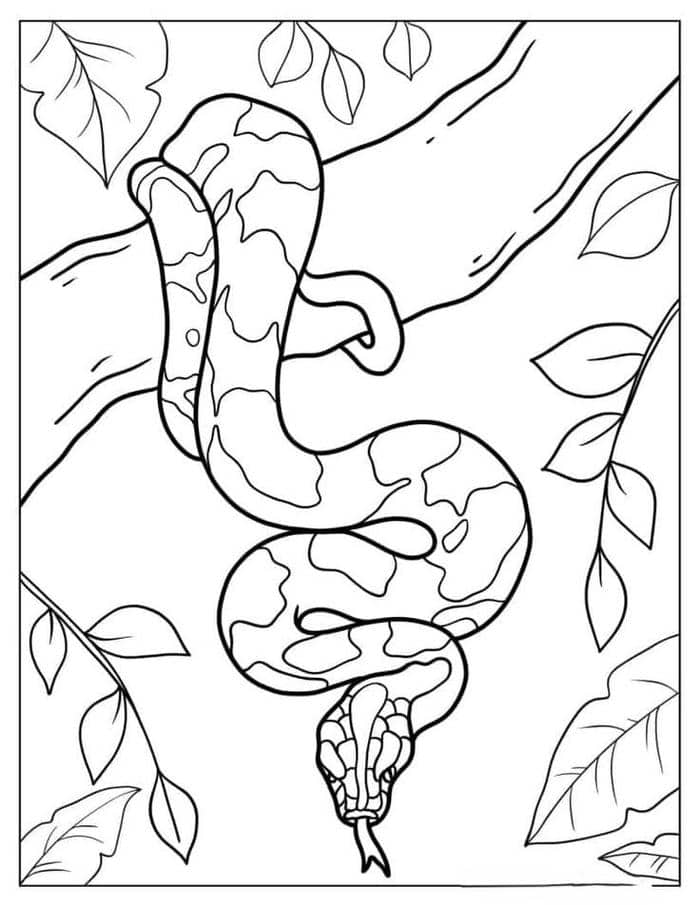 Ảnh tranh tô màu hình con rắn cho bé