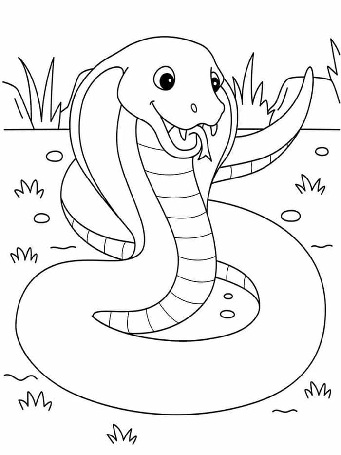 Ảnh tranh tô màu hình rắn hổ mang cute
