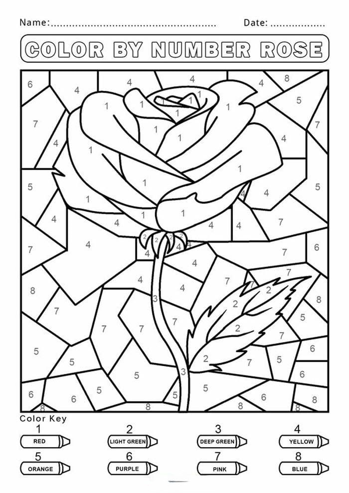 anh-tranh-to-mau-theo-so-hinh-hoa-hong Ảnh tranh tô màu theo số hình hoa hồng