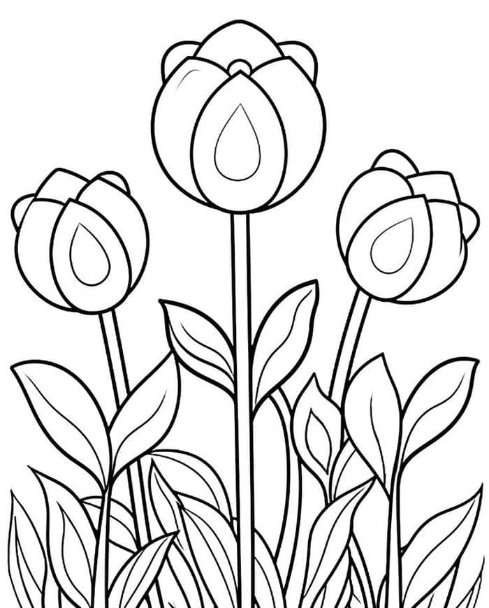 anh-tranh-to-mau-vuon-hao-tulip-don-gain Ảnh tranh tô màu vườn hao tulip đơn gảin