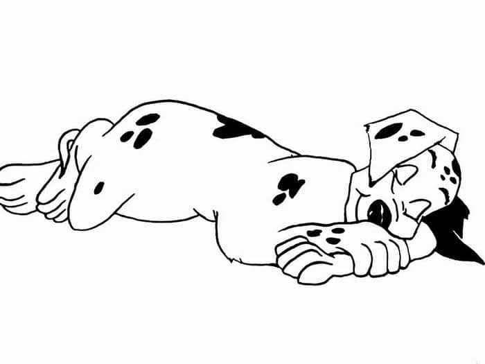 be-tap-to-con-va bé tập tô con vật