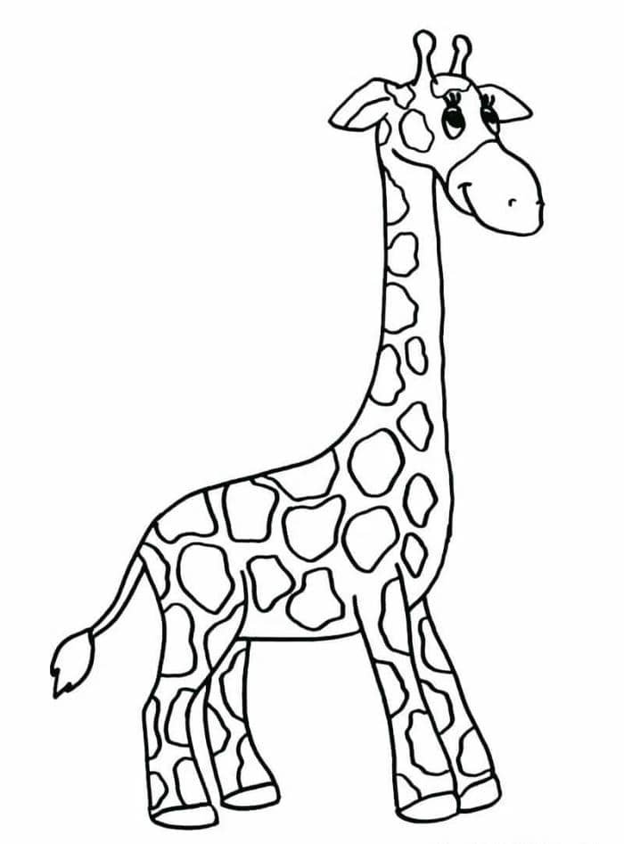 be-tap-to-mau-con-vat bé tập tô màu con vật