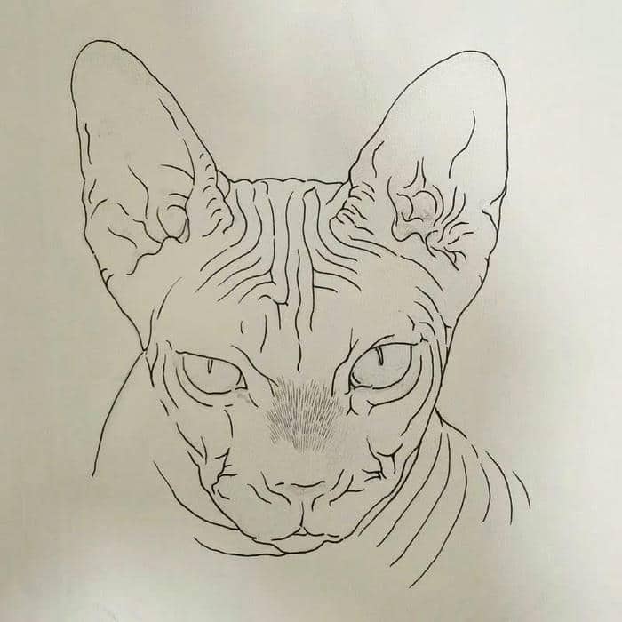 hinh-anh-con-vat-cho-be-to-mau hình ảnh con vật cho bé tô màu