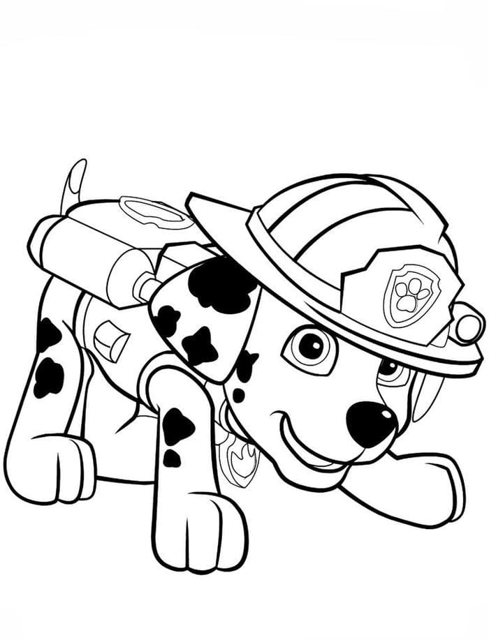 Hình ảnh tranh tô màu chó cứu hộ