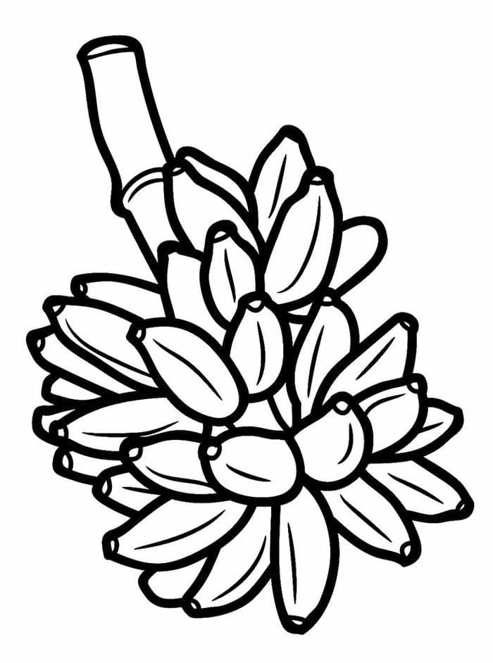 Hình ảnh tranh tô màu quả chuối đơn giản