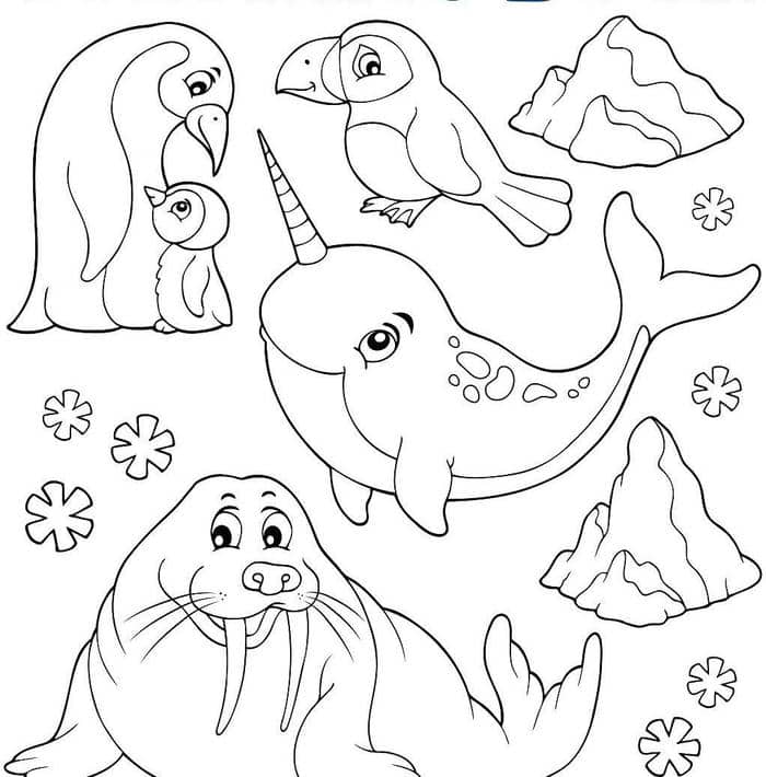 hinh-cho-be-to-mau-con-vat hình cho bé tô màu con vật