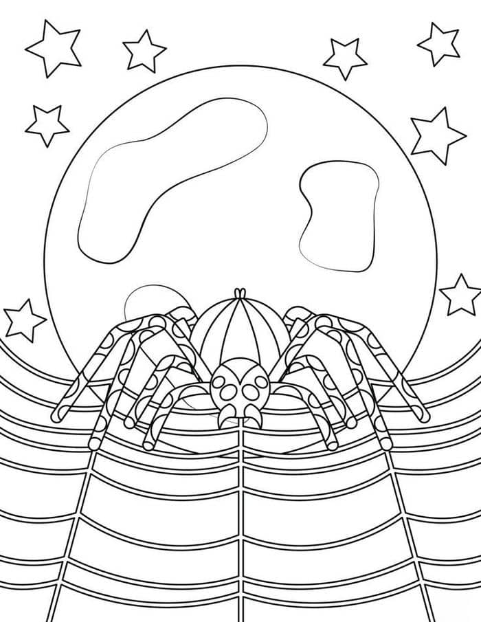 Hình con nhện tranh tô màu đơn giản cho bé