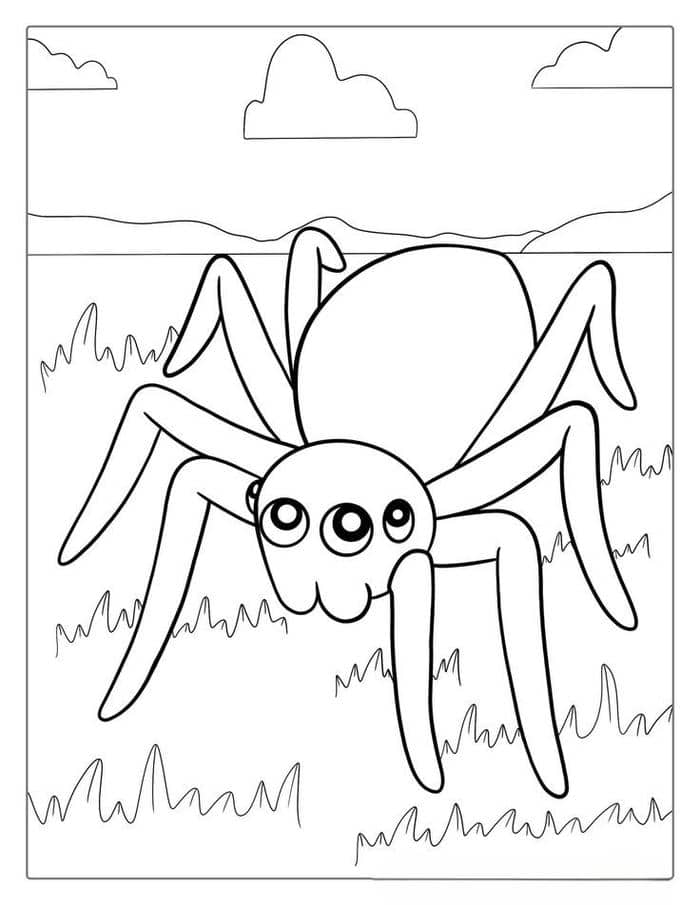 Hình con nhện tranh tô màu đơn giản cho be