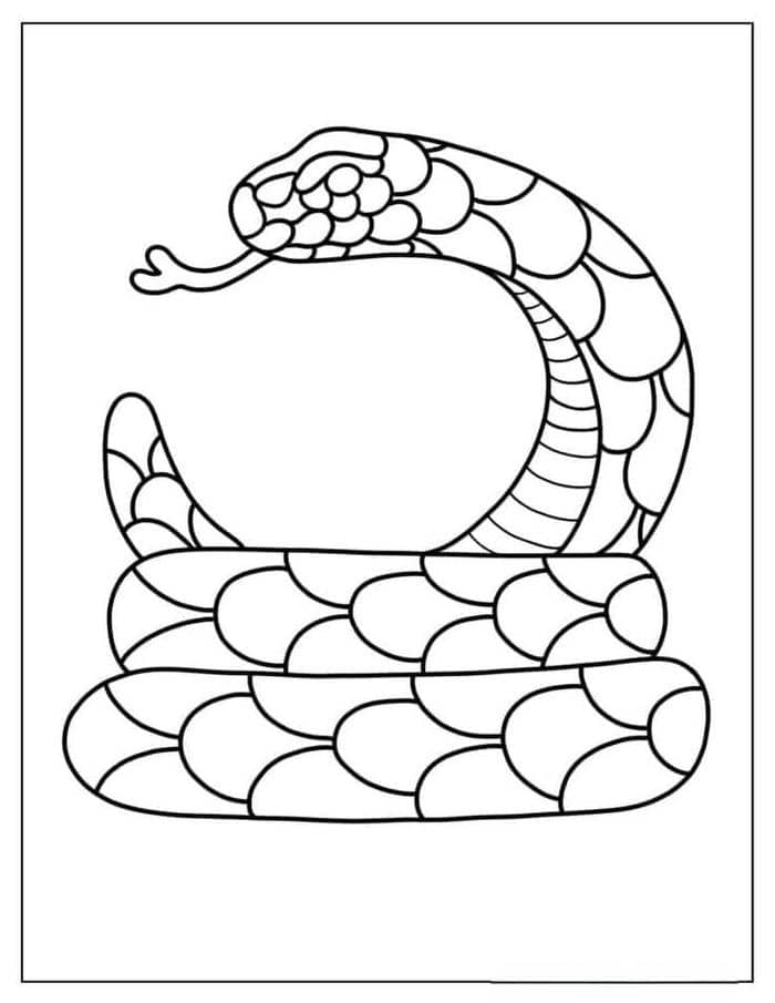 Hình con rắn tranh tô màu cho bé
