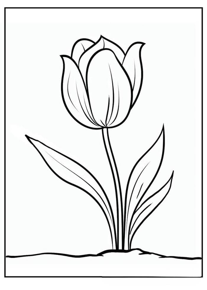 hinh-hoa-tulip-tranh-to-mau-don-gian Hình hoa tulip tranh tô màu đơn giản