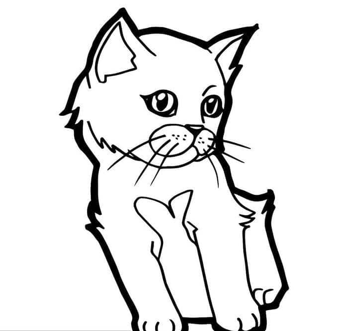 hình mèo tô màu