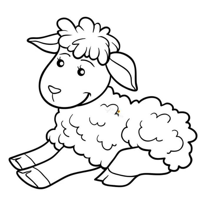 hinh-to-mau-dong-vat hình tô màu động vật