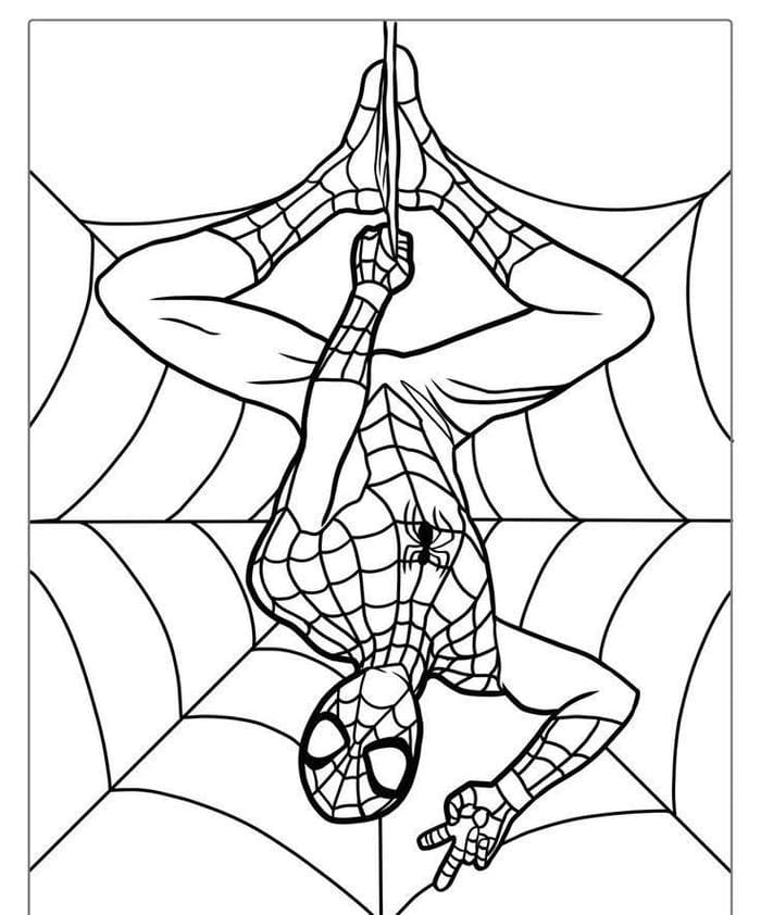 hinh-tranh-to-chibi-spiderman-du-day Hình tranh tô chibi Spiderman đu dây