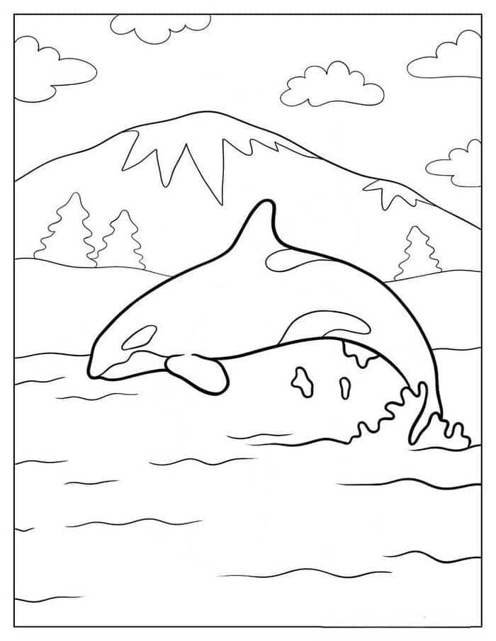 Hình tranh tô màu cá voi sát thủ