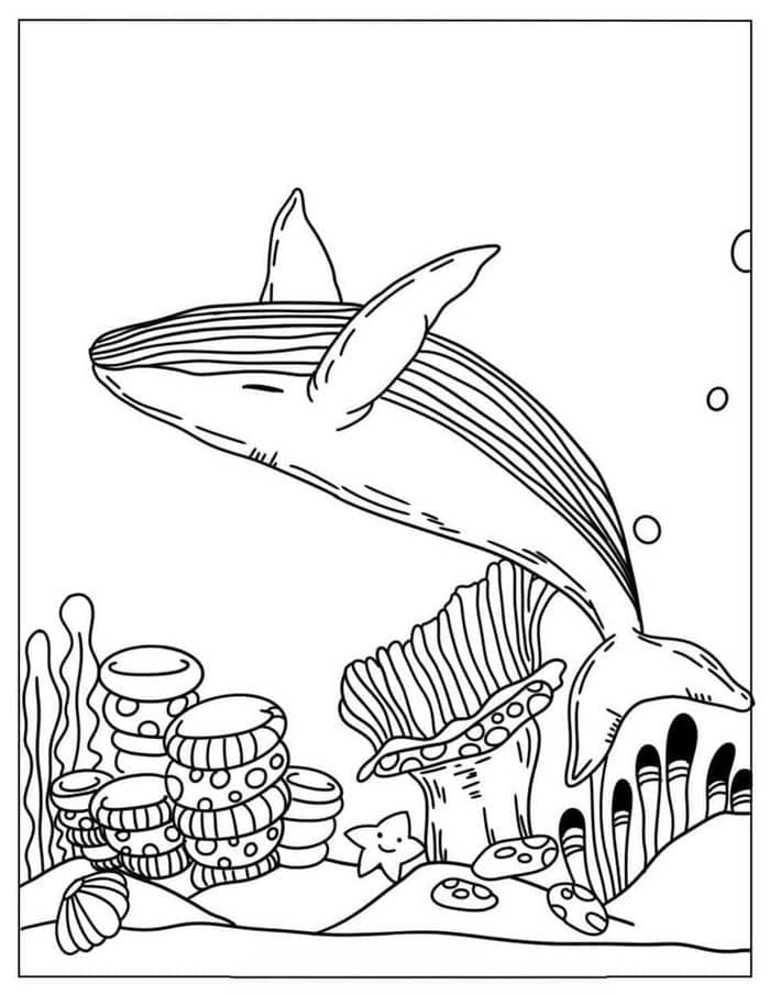 Hình tranh tô màu cá voi xanh