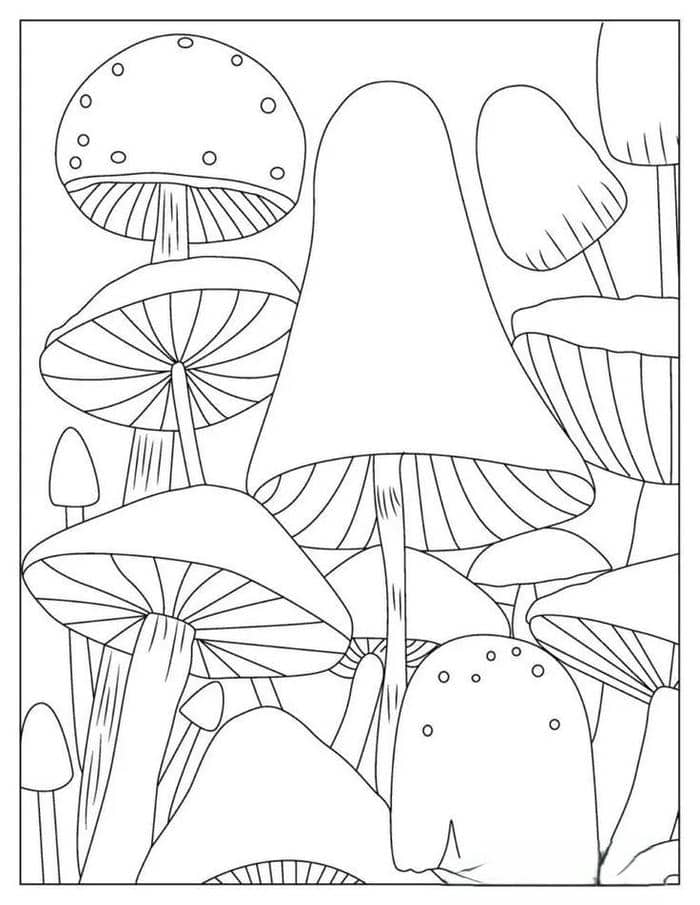 Hình tranh tô màu cây nấm cho bé