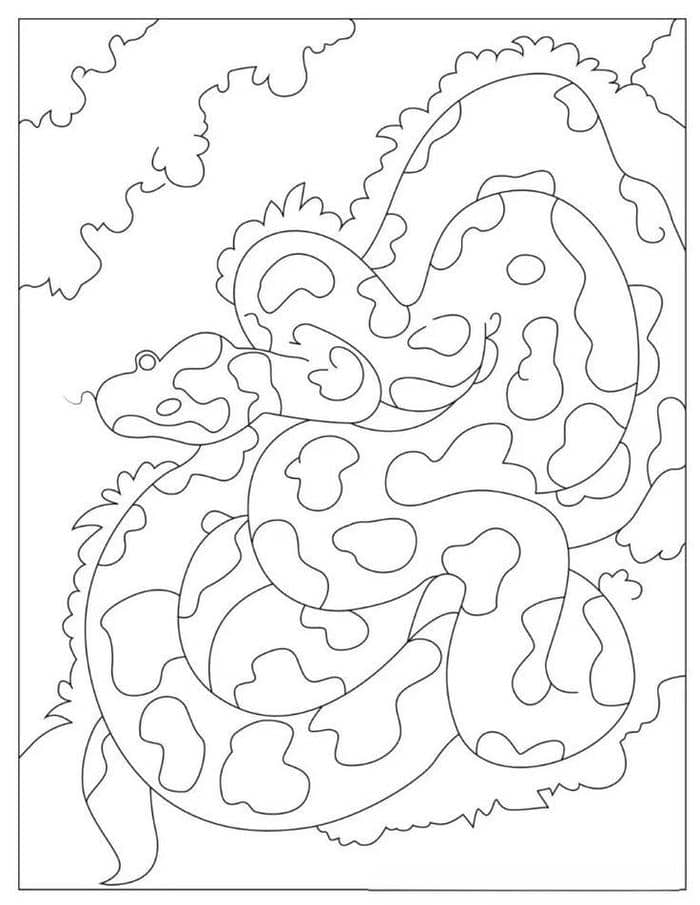 Hình tranh tô màu con rắn cho bé