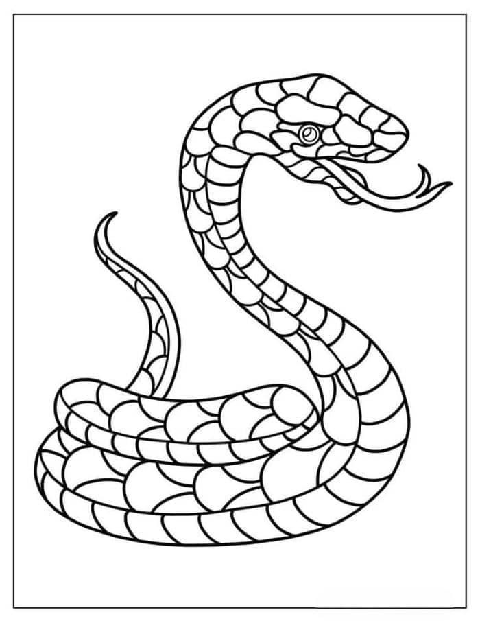 Hình tranh tô màu con rắn