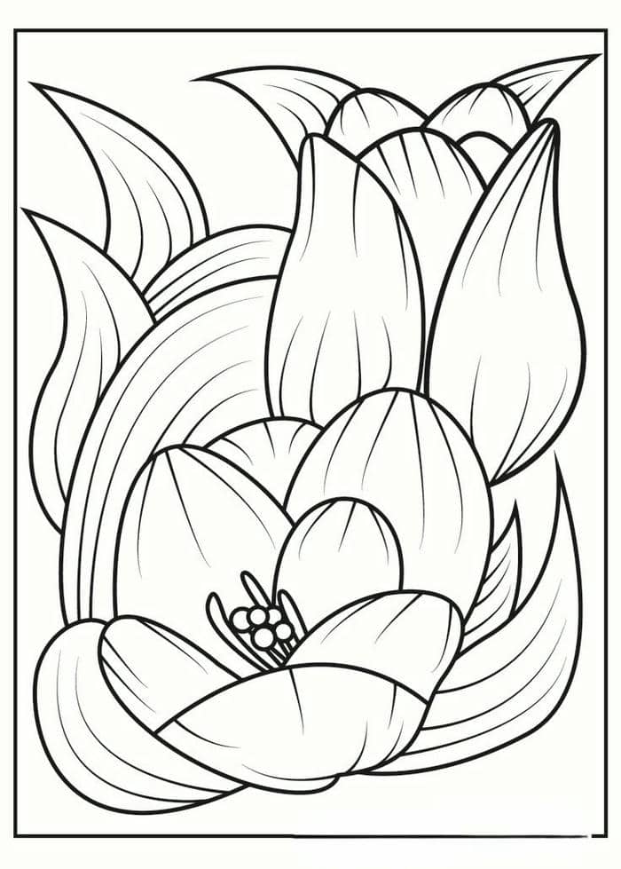 hinh-tranh-to-mau-hoa-tulip-don-gian Hình tranh tô màu hoa tulip đơn giản