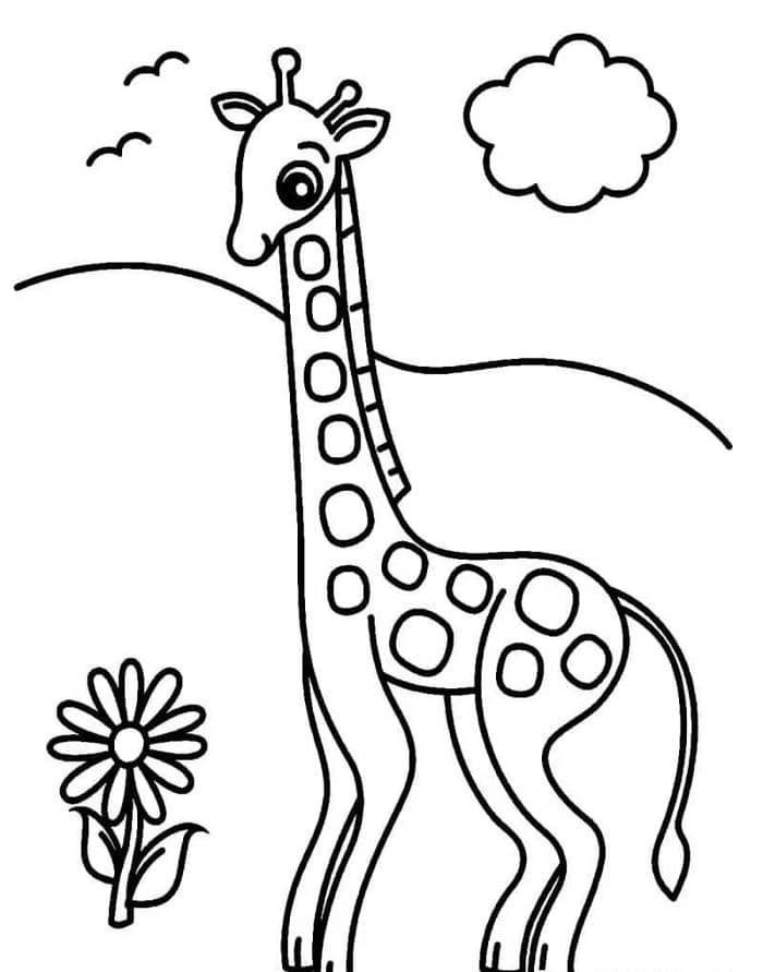 hinh-ve-to-mau-con-vat hình vẽ tô màu con vật