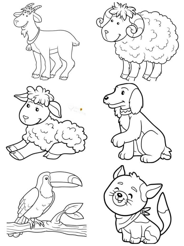 in-hinh-con-vat in hình con vật