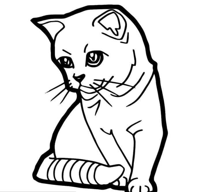 in hình tô màu con mèo