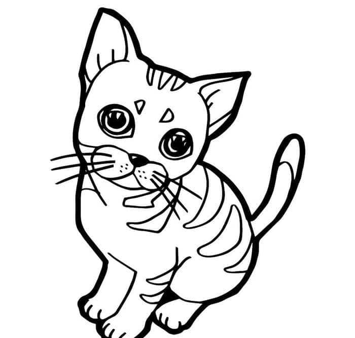 tập tô con mèo