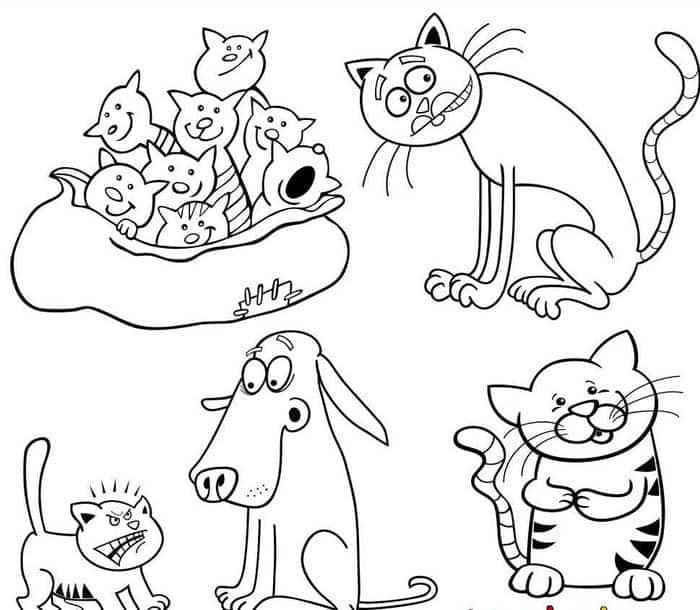 tô màu con mèo dễ thương