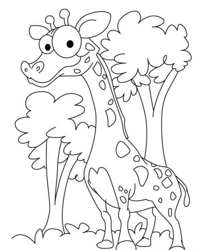 to-mau-con-vat tô màu con vật