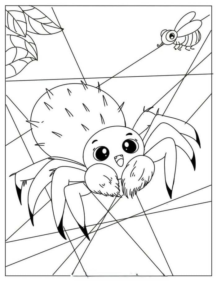 Tranh tô màu con nhện cho bé
