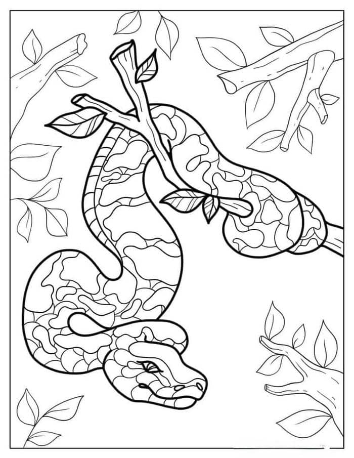 Tranh tô màu con rắn cho bé