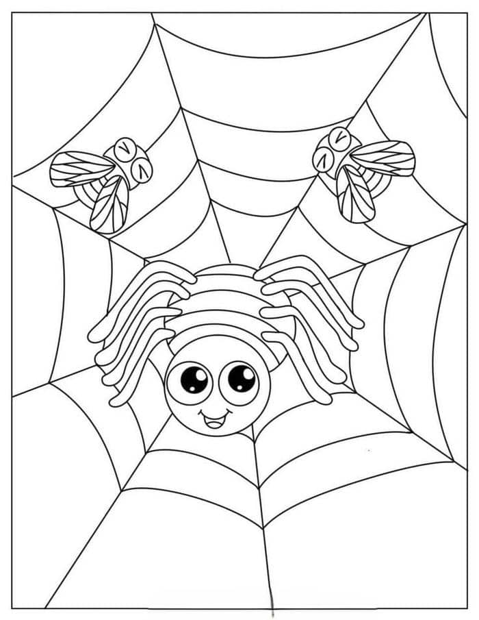 Tranh tô màu đơn giản hình con nhện cho bé