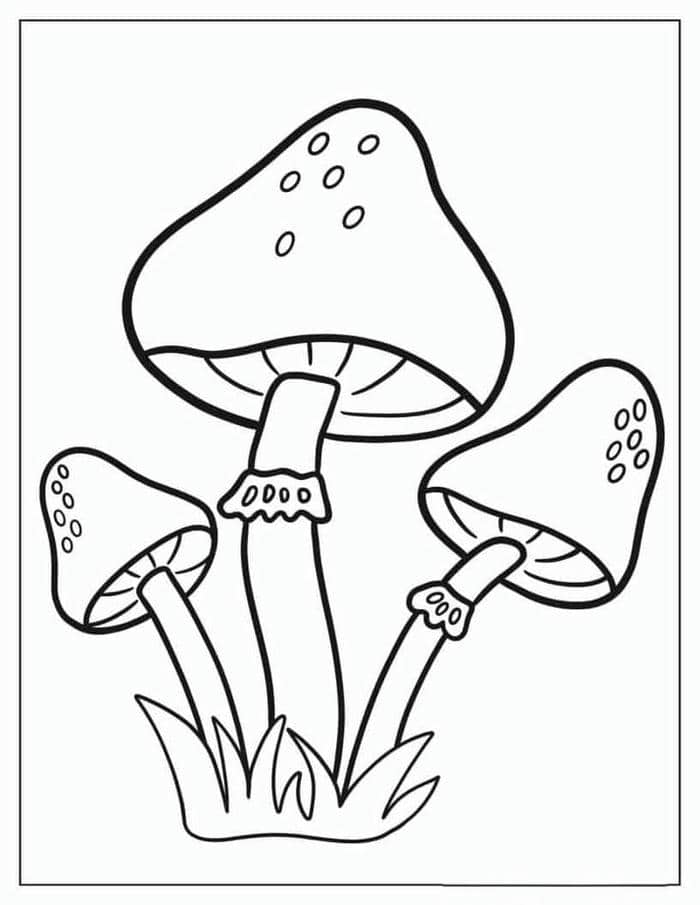 Tranh tô màu hình cây nấm đơn giản