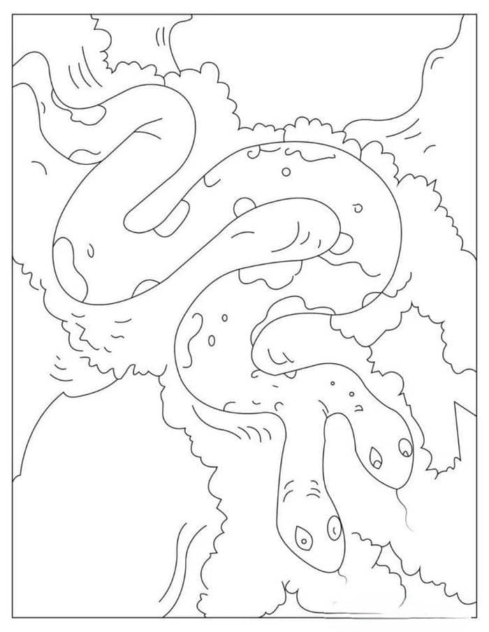 Tranh tô màu hình con rắn 2 đầu