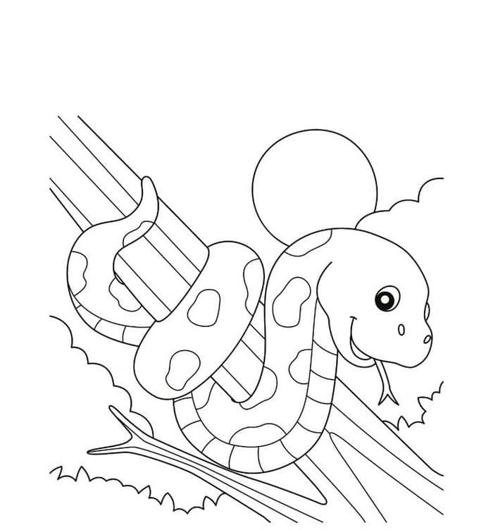 Tranh tô màu hình con rắn cute, đáng yêu