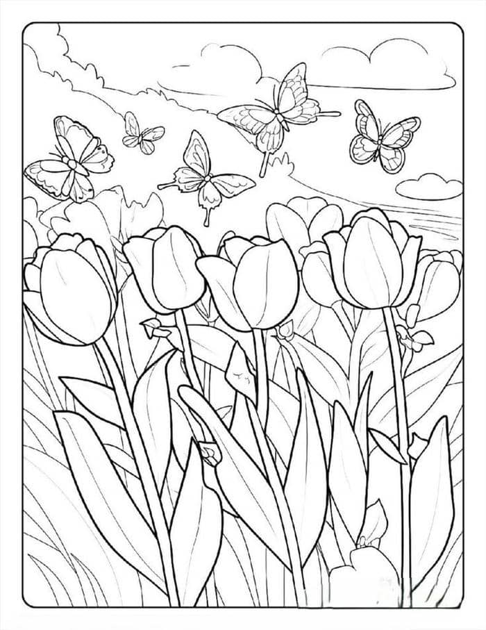 tranh-to-mau-hinh-hoa-tulip Tranh tô màu hình hoa tulip