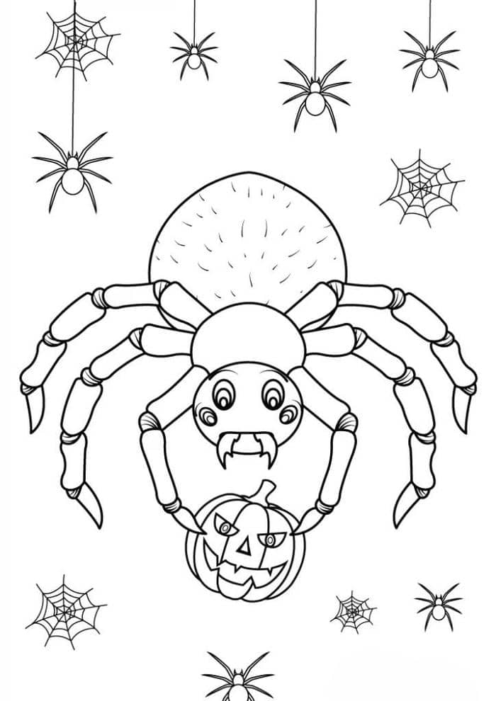 Tranh tô màu hình nhện Halloween