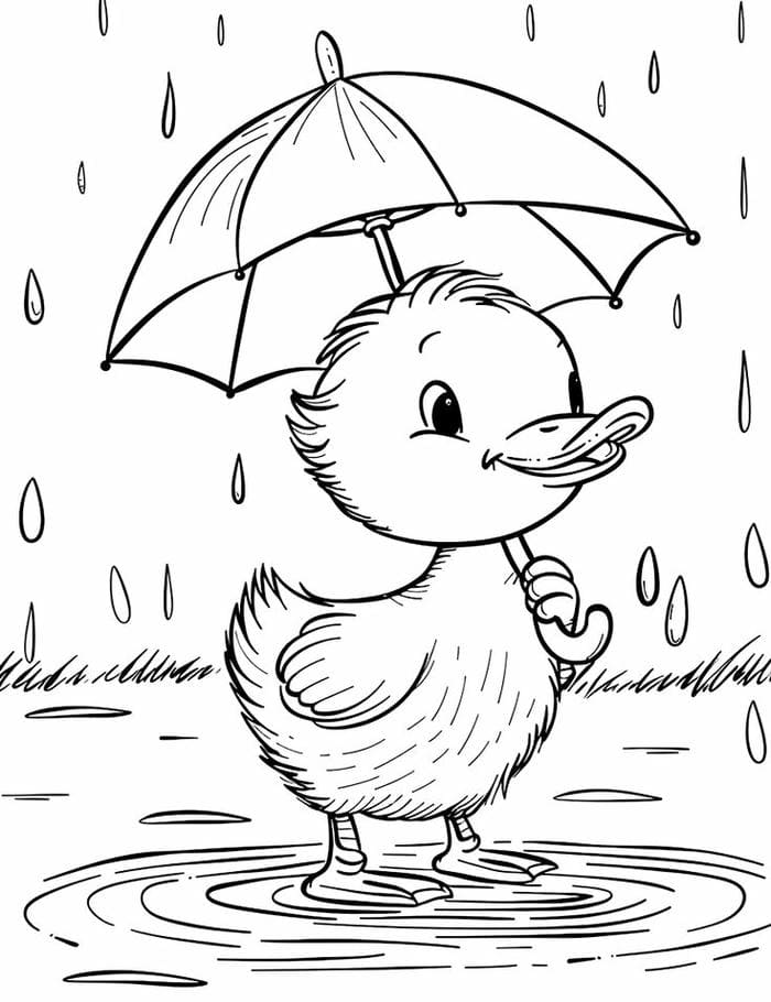 tranh to mau hinh vit con don gian