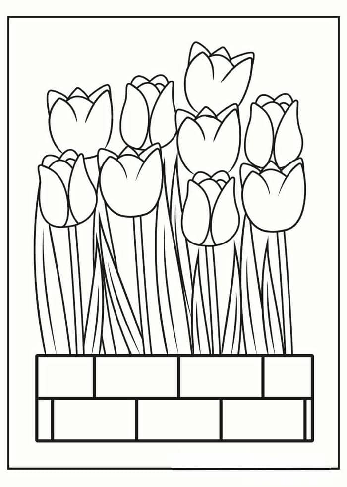 tranh-to-mau-hoa-tulip-dep-don-gian Tranh tô màu hoa tulip đẹp đơn giản