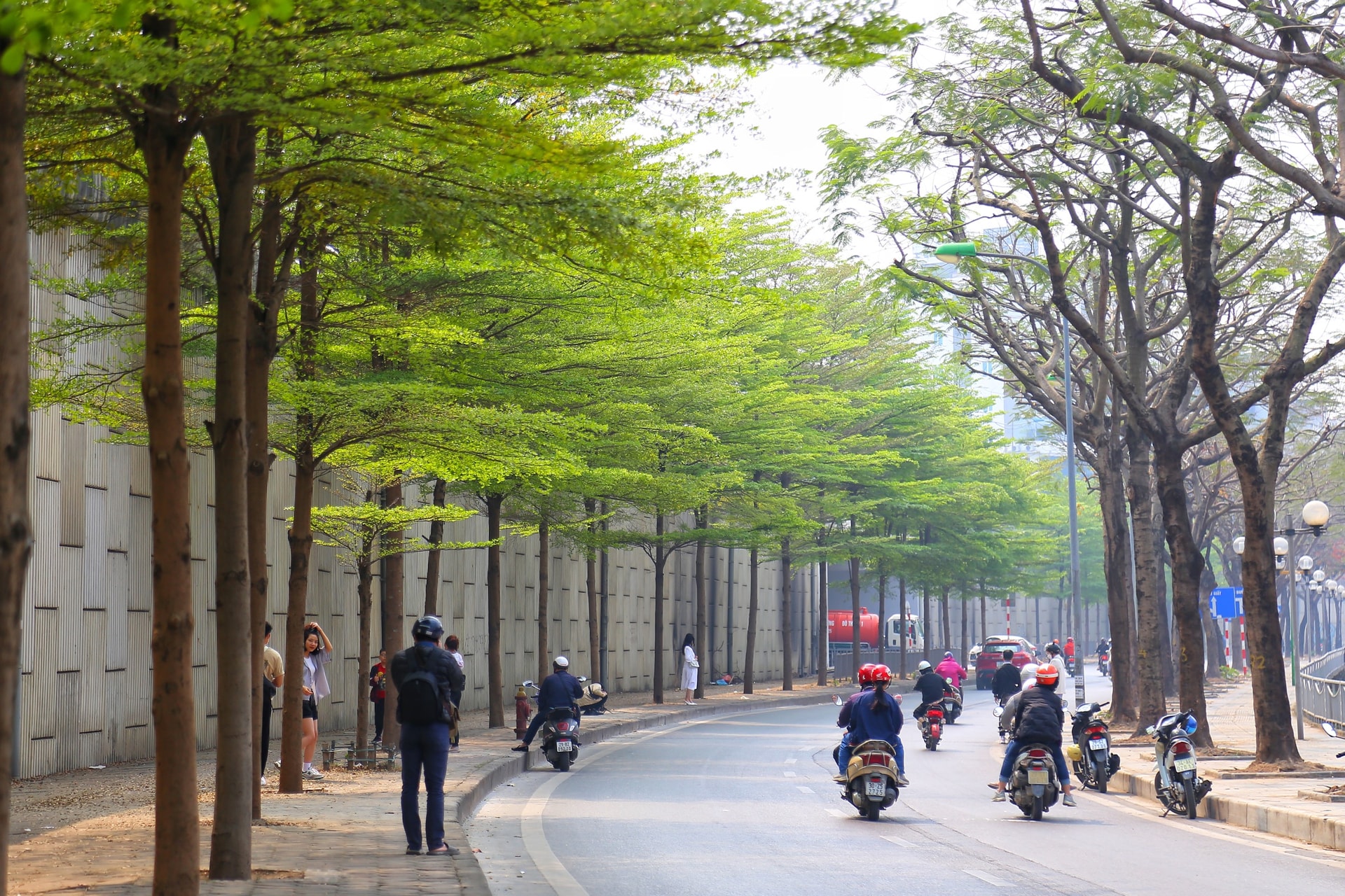 anh cay coi thien nhien 14 ảnh cây cối thiên nhiên 14