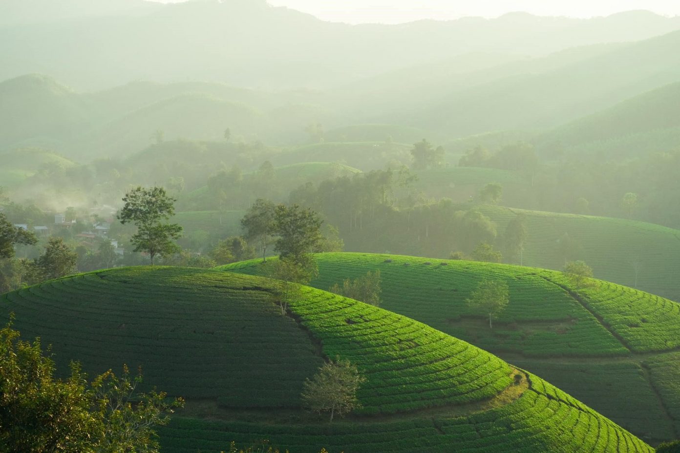 anh thien nhien chill 11 ảnh thiên nhiên chill 11