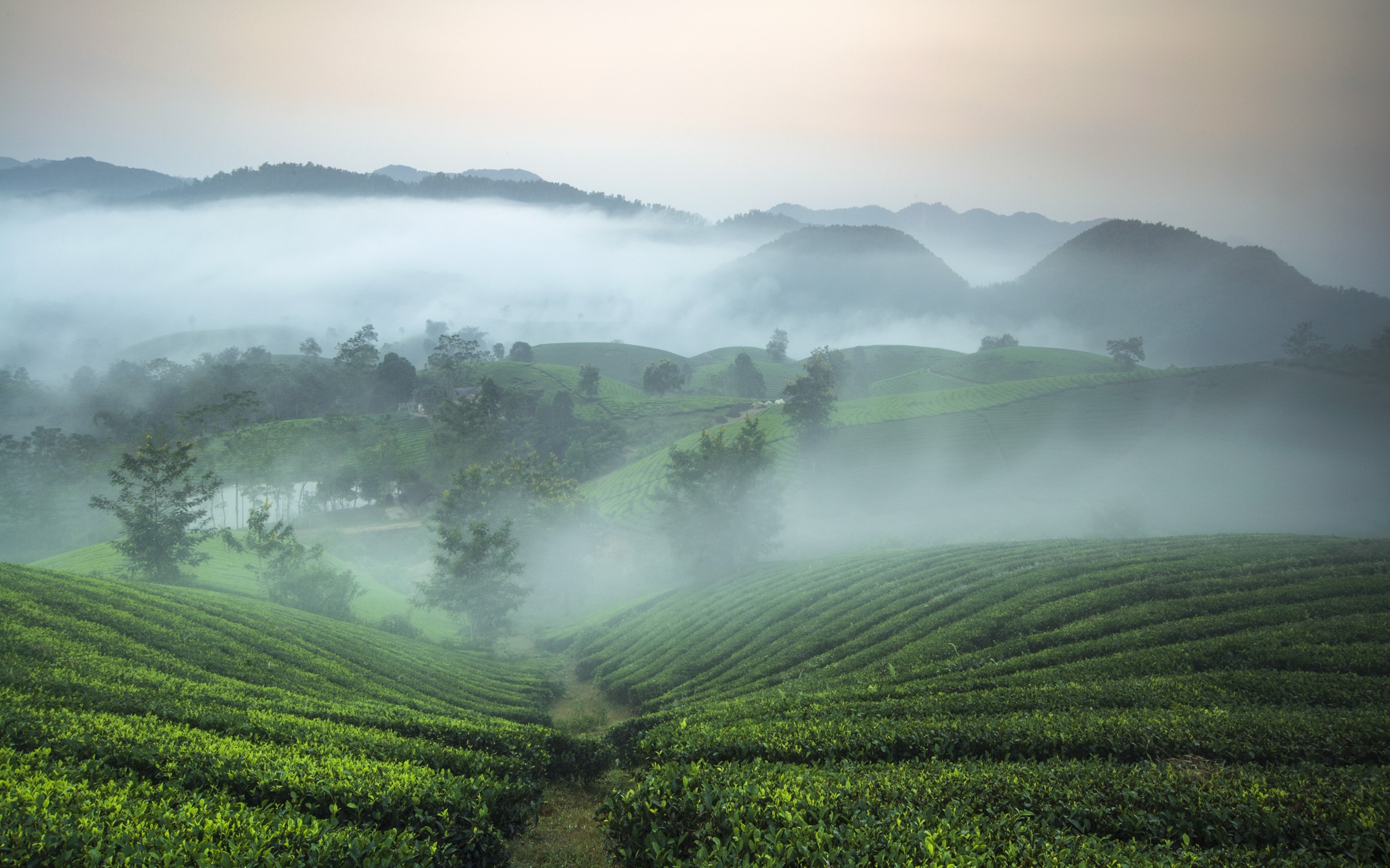 anh thien nhien chill 12 ảnh thiên nhiên chill 12